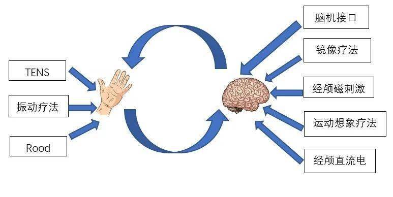 【感觉治疗】——中枢干预方法