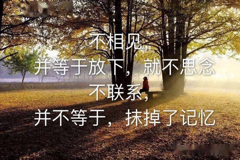 一句话心情签名句子,潇洒,霸气,拽