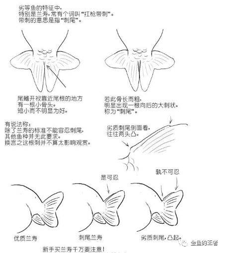 65cc40fa4d8a44d492a8b43bf9b89711.jpeg