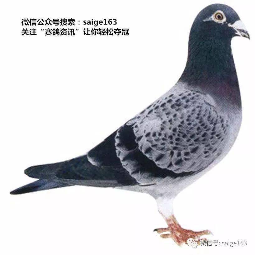 6ac4cc22509041d385344d899f39956a.jpeg