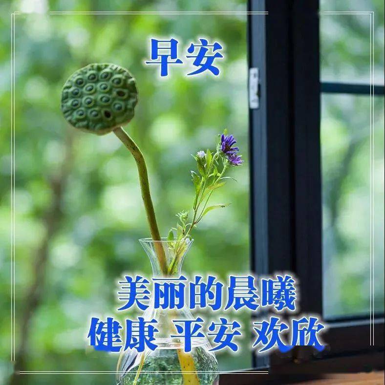 天凉了暖心清晨早安心语问候祝福图片 简单暖心早安说说