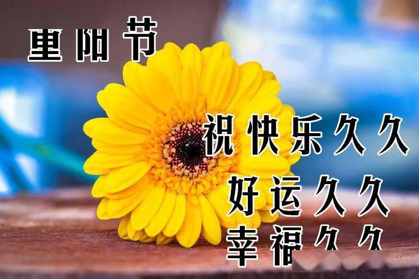 10月24日重阳节最漂亮早上好动态表情图片大全,早晨好动图美图大全