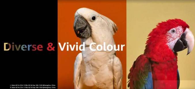 Mate|华为Mate 40正式发布，起售价7100元起