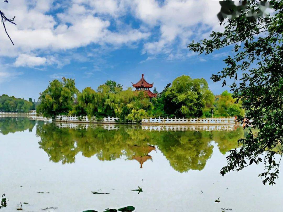 淮南很靓 第162波镜看淮南,最美风景随手拍摄影作品展