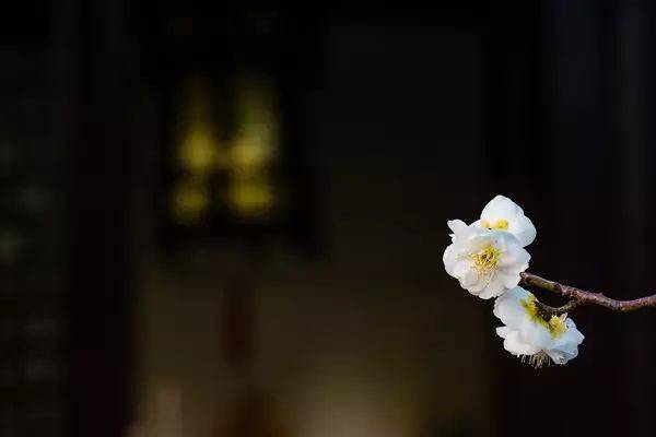 祖传|吃亏多了，总有厚报（精辟）