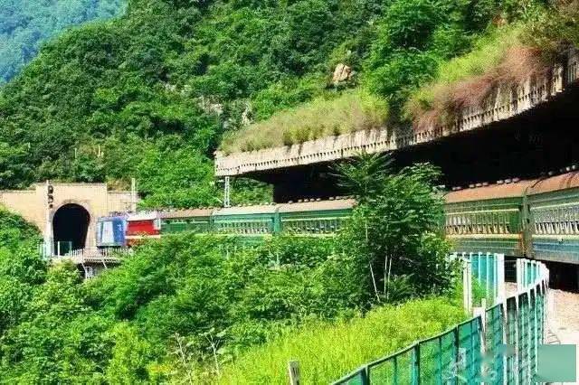 真实的秦岭小院 c7c5e3f881d24128ab7212f5098d5d94.jpeg