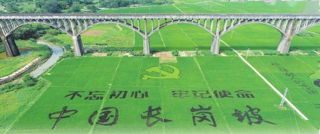 2020广东省罗定市GDP_罗定市各镇地图