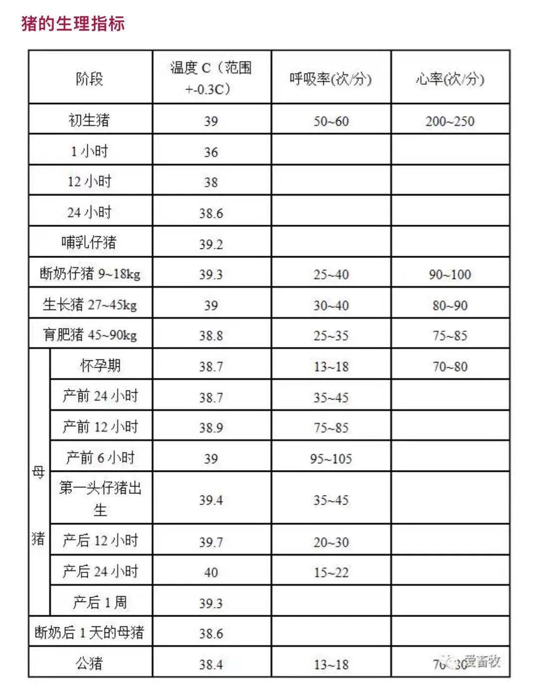 猪场实用数据表格大全