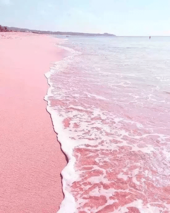 马桶|这些家居冷知识你知道几个?全是实用干货哦!