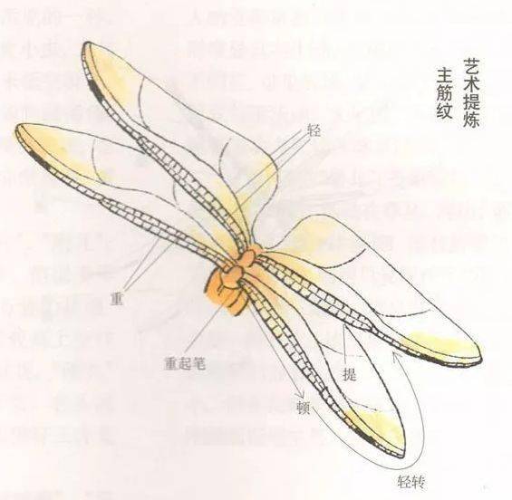 【国画教程】工笔画草虫之--蜻蜓画法