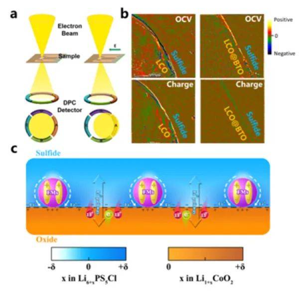 传输|科学家实现硫化物基固态电池界面锂传输的原位可视化和内电场调控