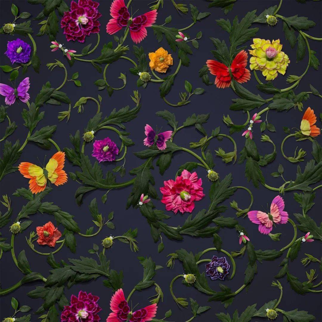 井上罗|花卉版的时尚品牌！