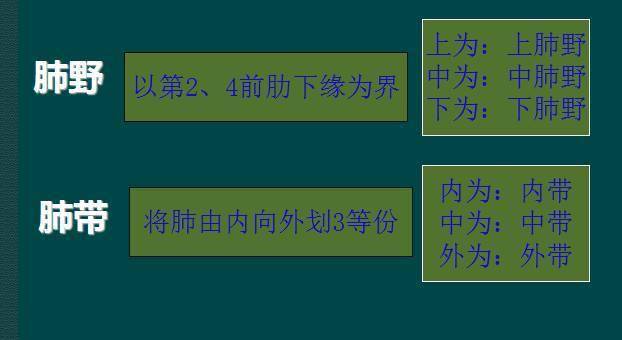 纵隔|读完此文，终于学会看胸片了