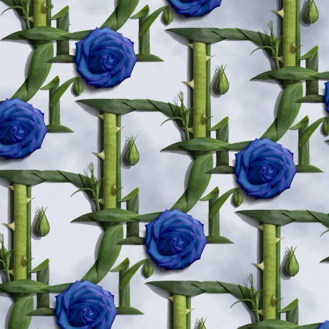 井上罗|花卉版的时尚品牌！