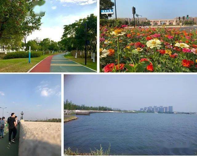 看鹃湖变化 做文明市民 当健康达人_海宁市