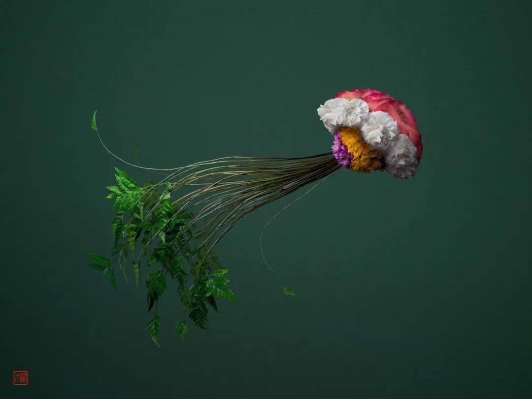 井上罗|花卉版的时尚品牌！