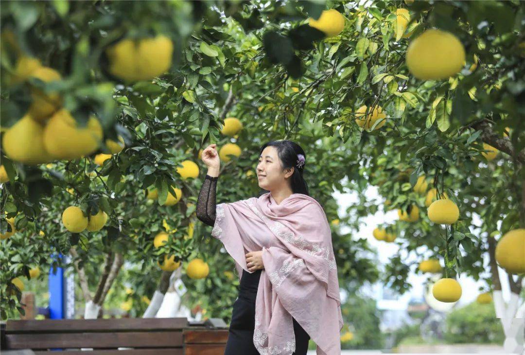 到中华·梁平柚海,开启一场美妙的"香约之旅"吧