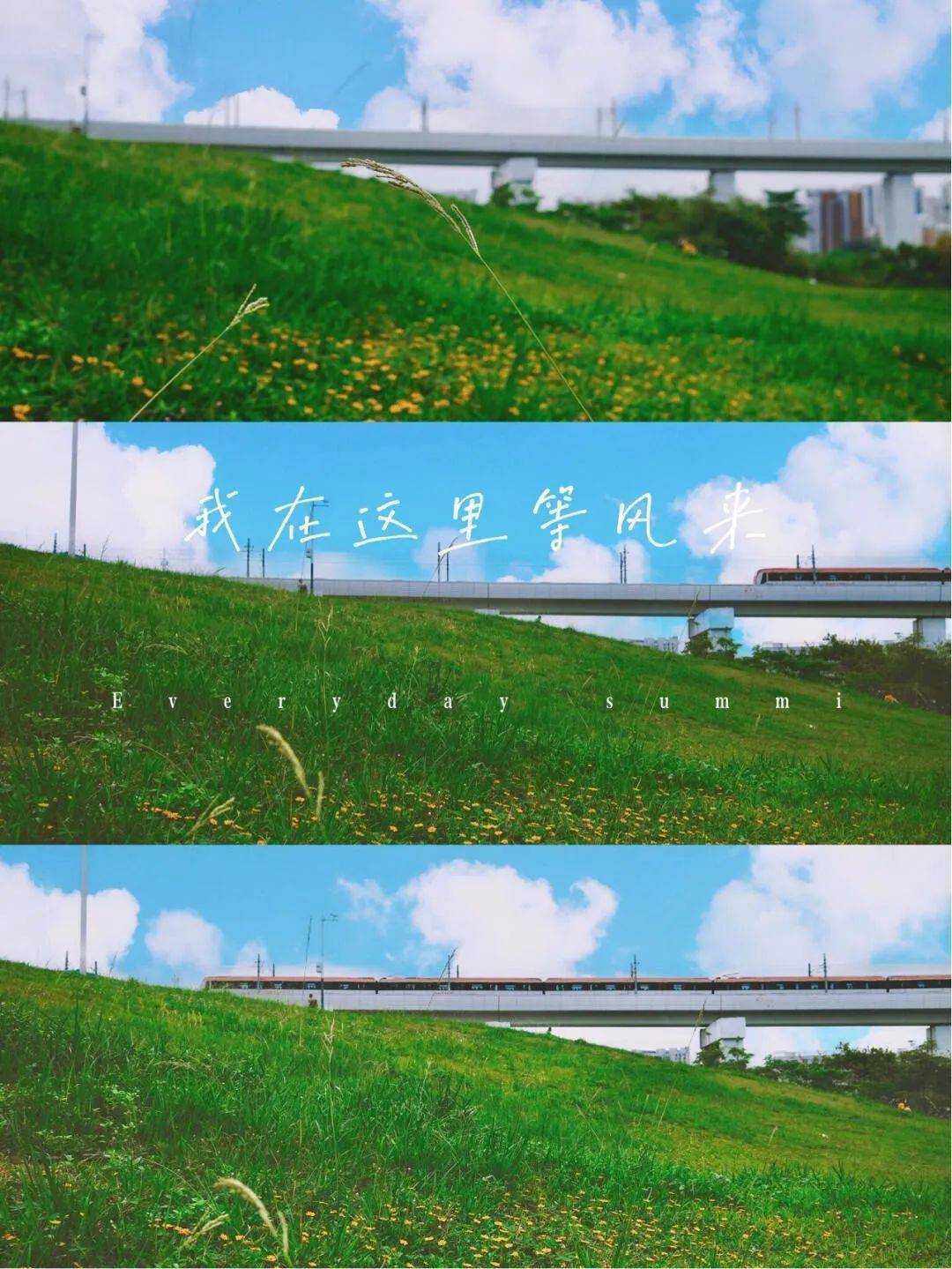 7622a00817724595923f282b863d5342.jpeg