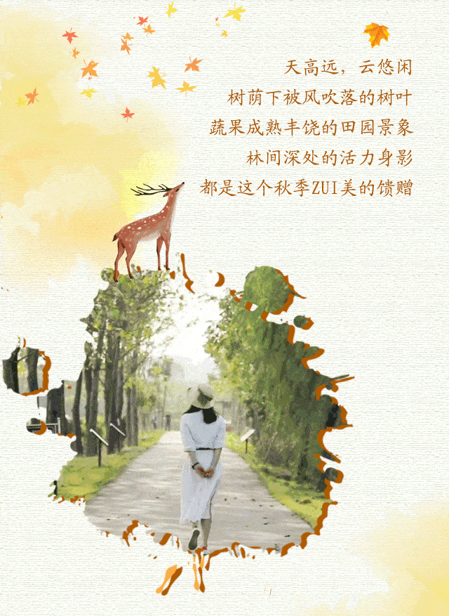 640_877 竖版 竖屏