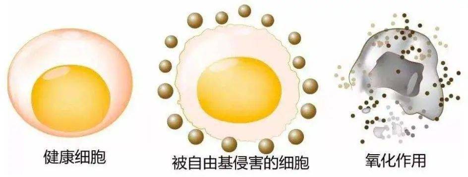 肌肤|凭什么别人都美得那么高级？