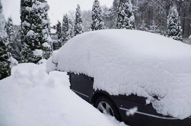 甘肃2020年第一场雪,各地美的不要不要的!快来进来赏雪吧