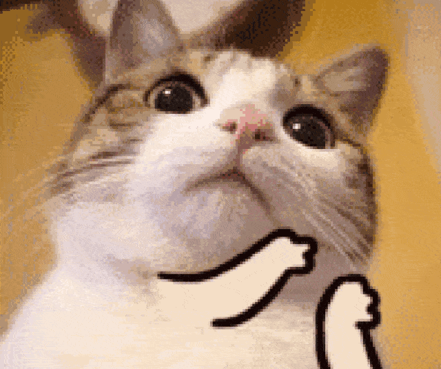 640_535gif 动态图 动图