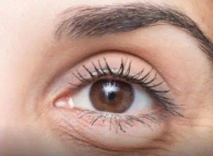 喜剧|让沈腾做配角，不愧是虎扑女神！