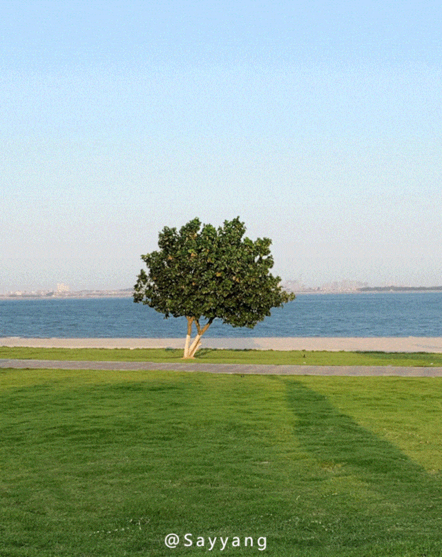 640_807 竖版 竖屏