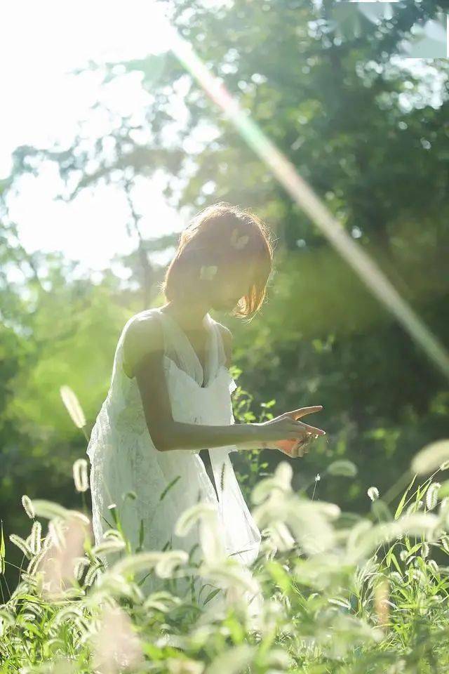 顺光照片 来自搜狐网