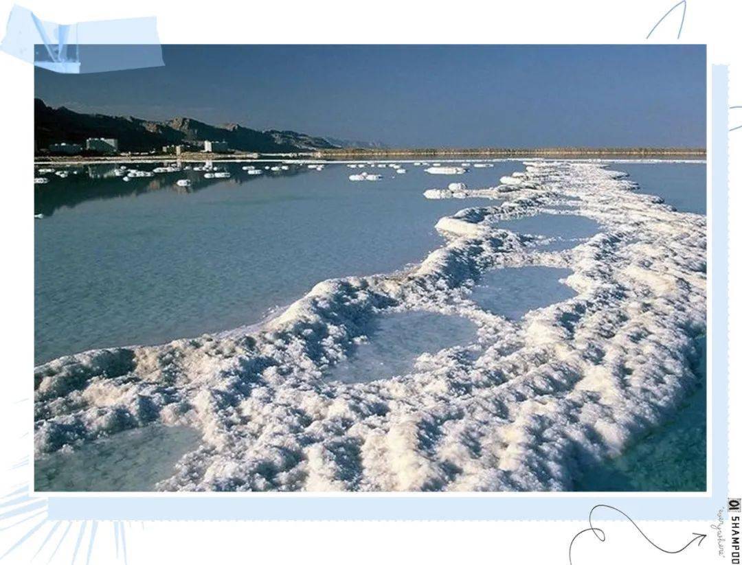 克兰|头上抠下的“白泥”，居然不是头皮屑？脱发头油都是因为它？