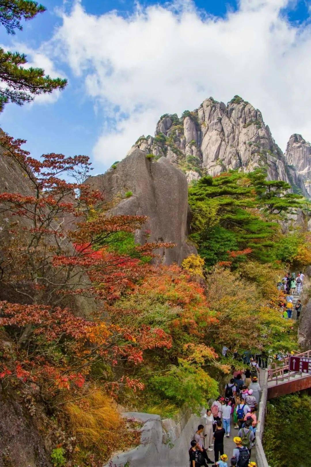 【11月6日铁定出发】行摄黄山(住山顶),画里宏村,篁岭,滕王阁 双飞