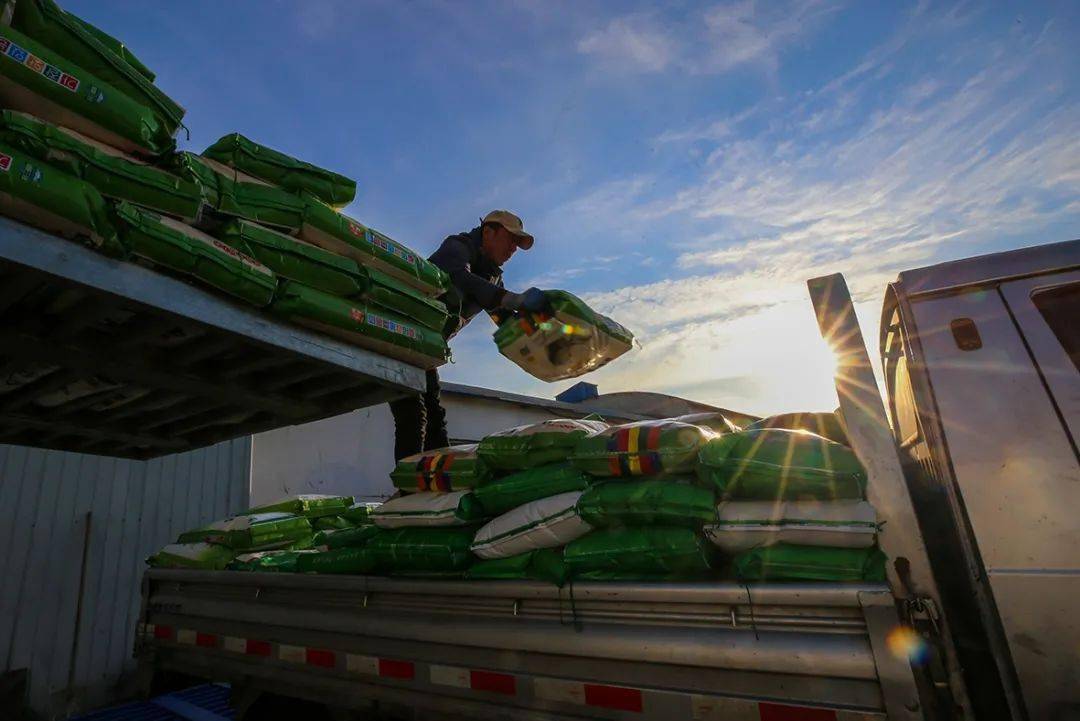 大米装车袋装的大米准备发往销售地采  写:兴安日报融媒体记者毕力格