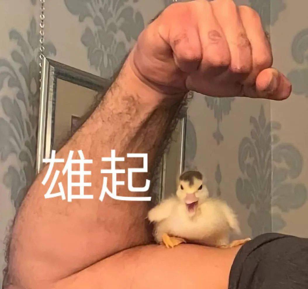 美女|你是不是美女，看这5点就知道！