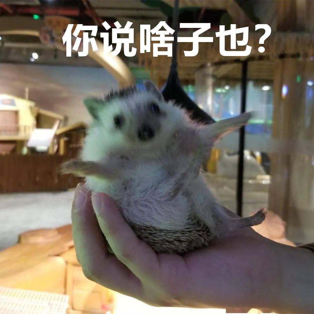 6642d33f038b4a9fa606bab9c90ad191.jpeg
