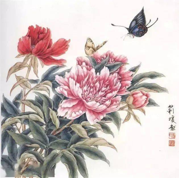 工笔芍药画法步骤与白描画稿