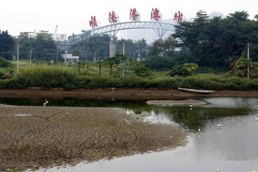 顺德港澳城7月9日,实地察看南国东路延伸线工程顺兴大桥和德胜体育