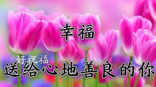 一生最美的祝福简谱_这一生最美的祝福简谱(2)