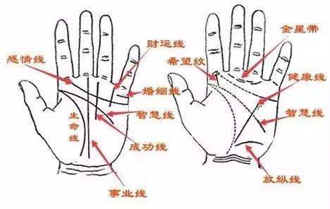 天生富贵的3种手相!手上自带"财库",一生衣食无忧!