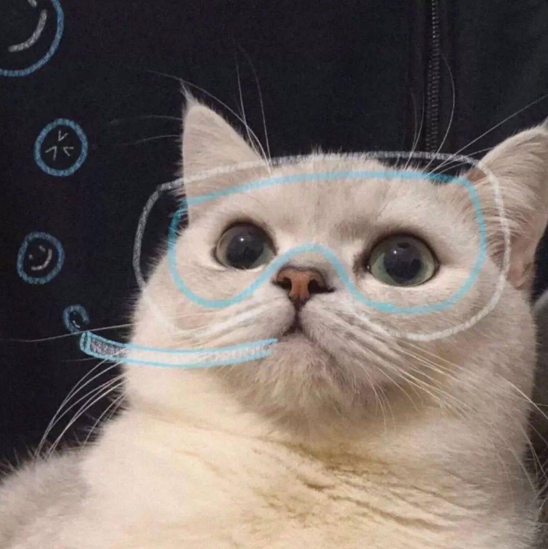c7c53bea51634a478ad6787fbcc679cf.jpeg