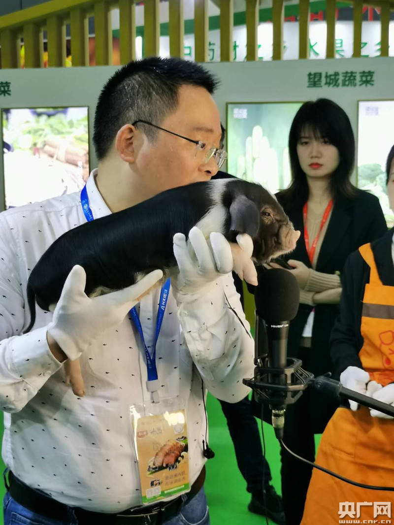 自动化|直播带货助力中国中部农博会开启“电商+消费”新模式