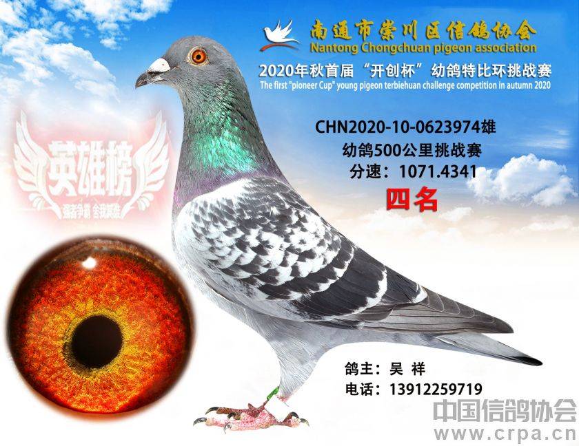 南通市崇川区2020年秋首届"开创杯"幼鸽特比环挑战赛前位奖鸽欣赏