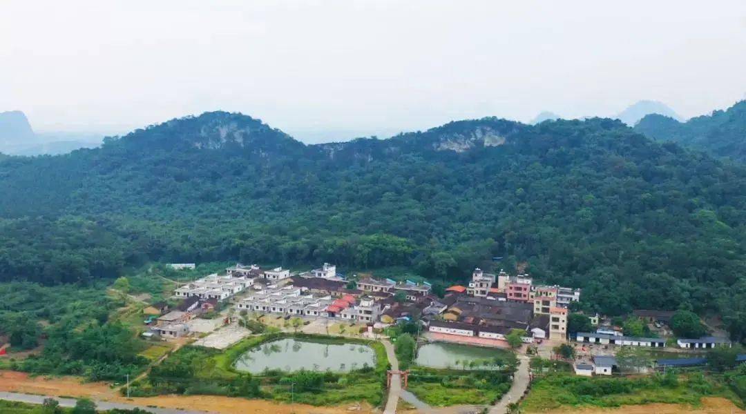 清远市"十强村庄"诞生,阳山县这两个村成功入围!
