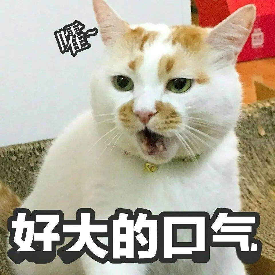 c3a3626cf4014c20b2be99af9c01dff5.jpeg