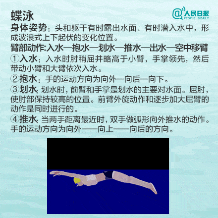 学游泳简谱_学游泳图片
