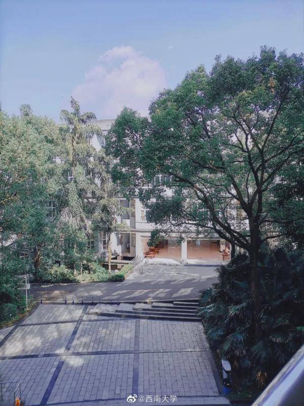 秋景大|高校秋景大赏丨想在春天种下一片色彩 在秋天送给你