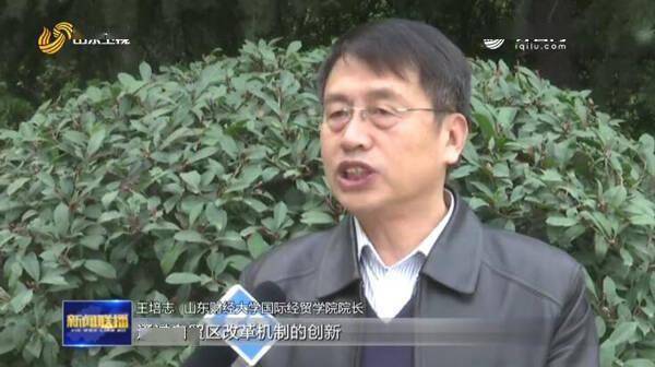 山东财经大学国际经贸学院院长王培志说"充分利用山东各种对外开放的