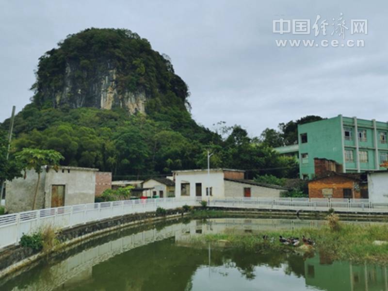 广东省清远市清新区石潭镇水西村.经济日报-中国经济网记者 朱晓航摄