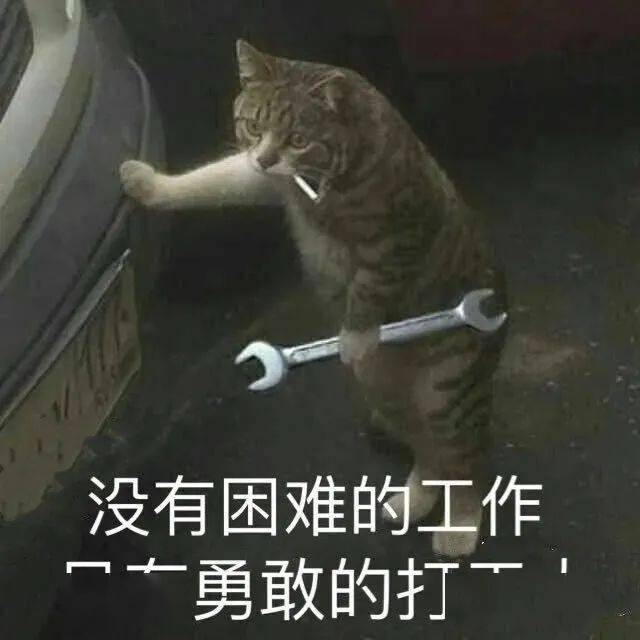早课…这究竟是什么人间疾苦!