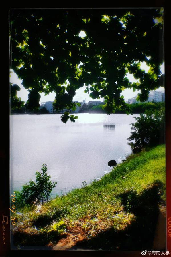 秋景|惊艳！高校官宣秋景来了，有你的母校吗？