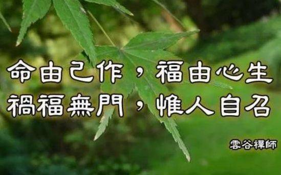 怎样才能有自己的思想 992d6755a17b4904a7194262c1b6b29e.jpeg